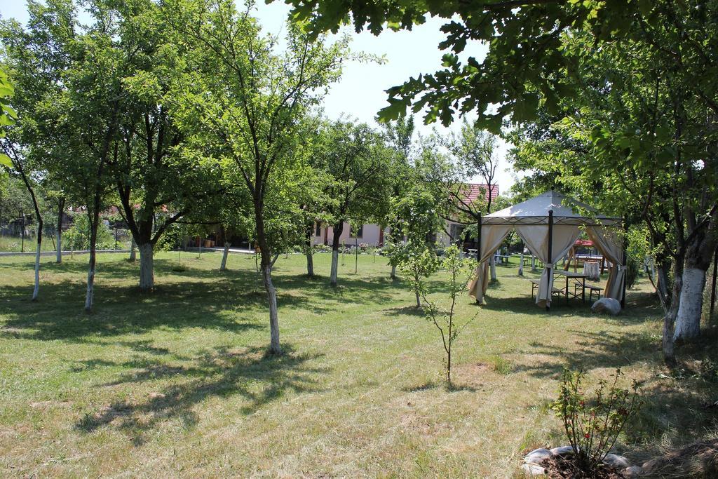 Pensiunea Casa Noastra Бая де Фиер Екстериор снимка